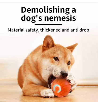 Interactive Smart Pet Ball